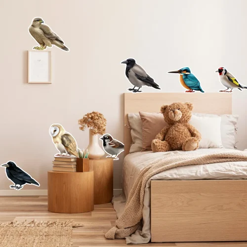 Oiseaux